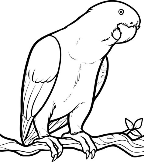Coloring Picture Of Animals For Kids