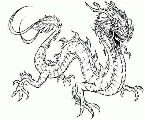 Dragons are extremely popular images for coloring pages and we have images for every member of the family to for boys and girls kids and adults teenagers and toddlers preschoolers and older kids at school. Free Realistic Dragon | Coloring Pages For Adults ...