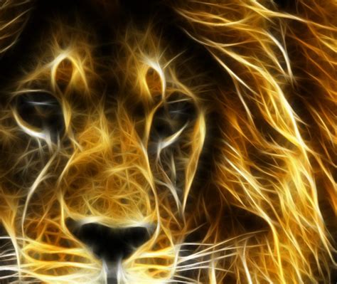 Lion Wallpapers 1920×1080 Hd Wallpapers Hd Backgrounds