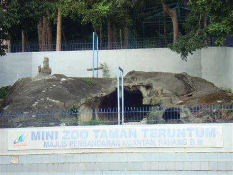 Mini zoo dobuļi darbojas kopš 1999. My Home Homestay Kuantan,Pahang: Mini Zoo Taman Teruntum