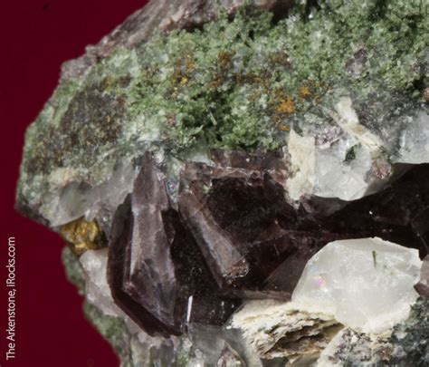 Malayaite With Ferro Axinite And Hedenbergite Rare15b 087 Kanonskoe