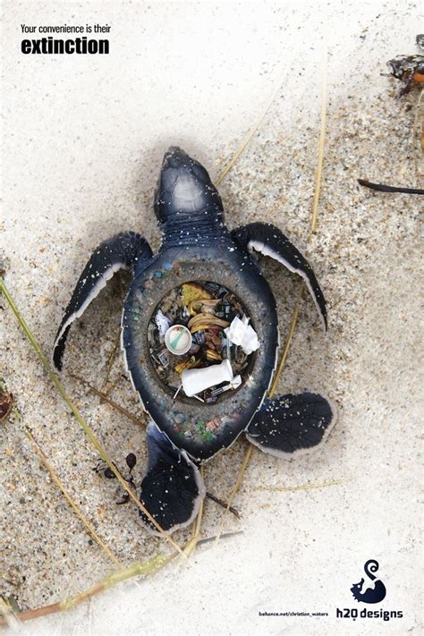 Pictures Of Sea Animals Stuck In Plastic