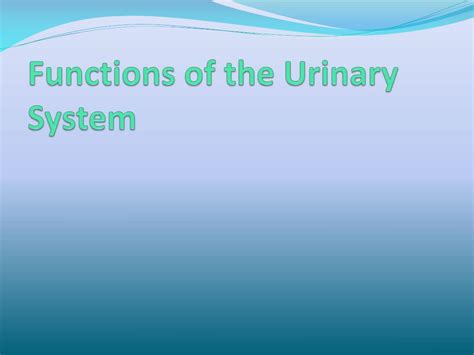 Ppt Urinary System Powerpoint Presentation Free Download Id2241388