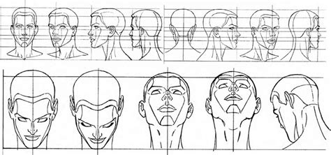 Anatoref Drawing The Head From Various Angles Top Image Anatomy