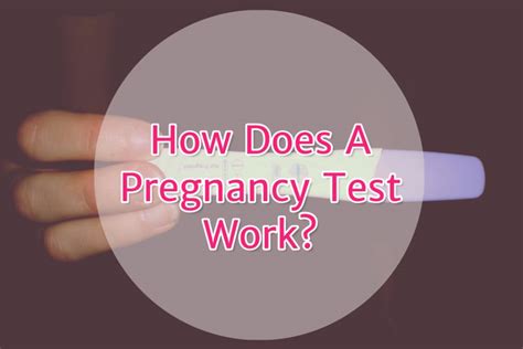 How Does A Pregnancy Test Work Evaporation Line Hcg Test