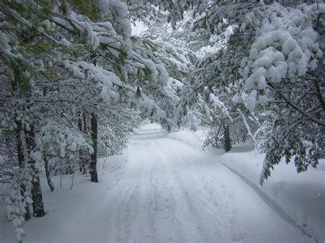 Winter Landscape Free Stock Photo Public Domain Pictures