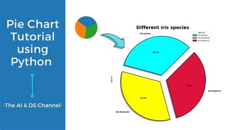 How To Visualize Pie Chart Using Python Pie Chart Tutorial Youtube