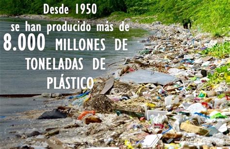 Cuánto Plástico Hay En El Mundo