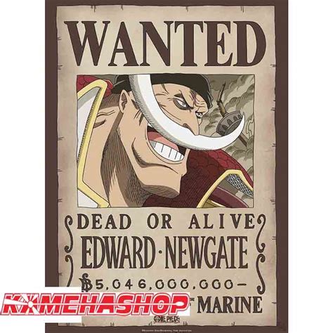 One Piece Affiche Wanted Edward Newgate