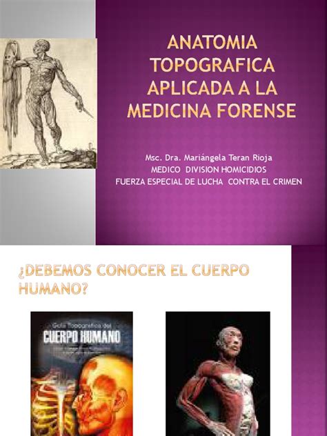 Anatomia Topografica Aplicada A La Medicina Forense 1 Medicina Legal