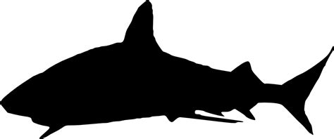 6 Shark Silhouette Png Transparent
