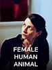 Watch Female Human Animal | Prime Video