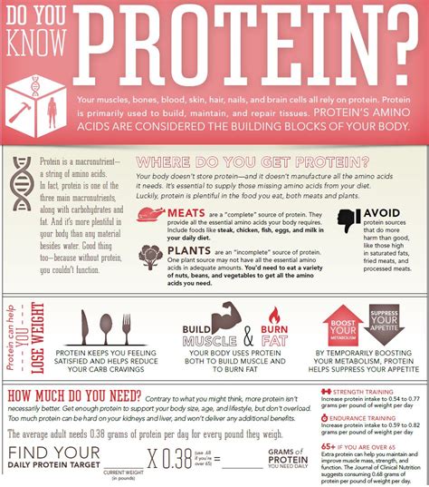 Do You Drink A Protein Shake Shareable Infographic