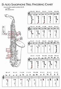 Alto Saxophone Keys Chart Instrument Charts Tahquitz High