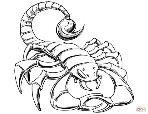 Find high quality scorpion coloring page, all coloring page images can be downloaded for. Prehistoric Scorpion coloring page | Free Printable ...