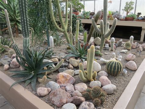 10 Cactus Garden Design Ideas Awesome And Gorgeous Outdoor Cactus