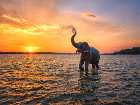 The Top 5 Photography Spots In Sri Lanka Created For Life