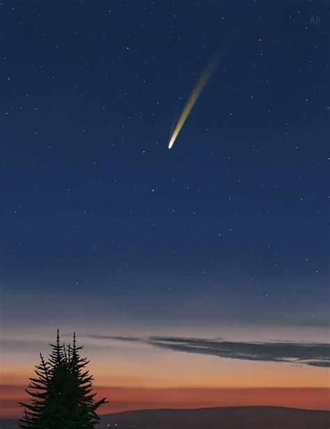 Spruce Comet Sunset Stars Starry Sky Hd Phone Wallpaper Peakpx