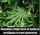 Photos of Marijuana Good For Glaucoma