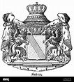 Heráldica, escudo de armas, Alemania, escudo de armas del Gran Ducado ...