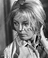 Sheree North - IMDb