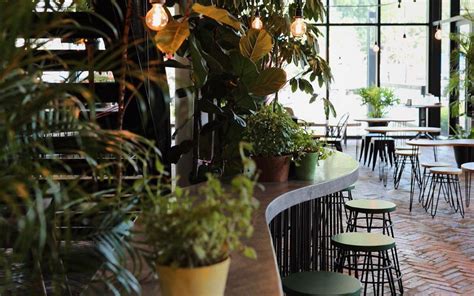 12 Gorgeous Plant Themed Cafés Restaurants For A Dose Of Greenery