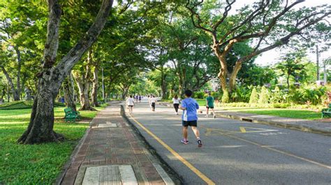 Runners club specjalistyczny sklep sportowy. Best Jogging Tracks in Chennai | Places to Explore ...