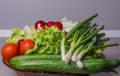Free Images Summer Dish Meal Food Salad Green Harvest Produce