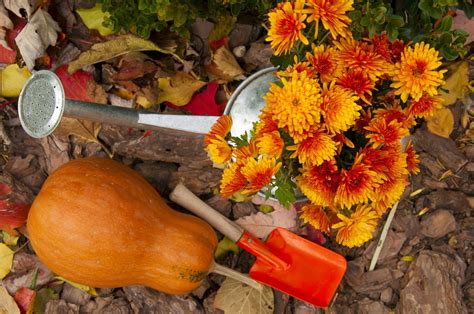 Benefits Of Fall Gardening Meadows Farms Nurseries And Landscaping