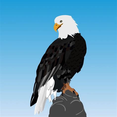 ᐈ American Eagle Cartoon Stock Vectors Royalty Free Bald Eagle
