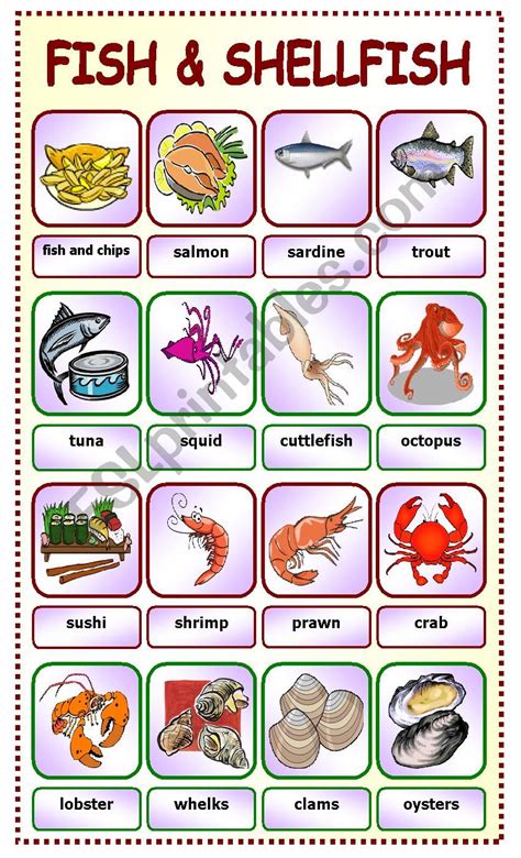 Fish And Shellfishpictionary5 Esl Worksheet By Teacher78