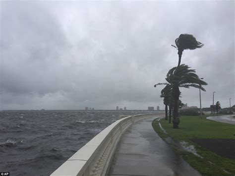 Southeast Gets More Rain As Tropical Storm Colin Heads East Daily