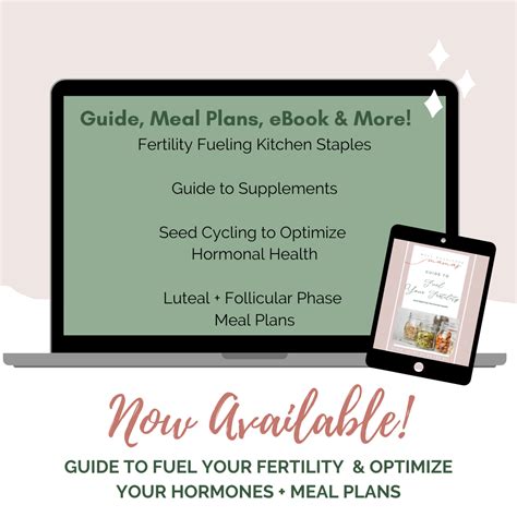 Well Nourished Mamas Guide To Fuel Your Fertility