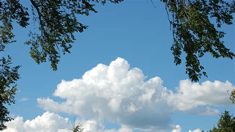 Download Wallpaper 1920x1080 Sky Cloudy Tree Landscape Full Hd 1080p