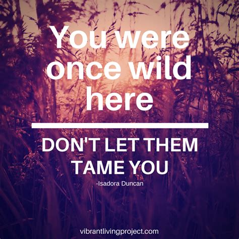 You Were Once Wild Here