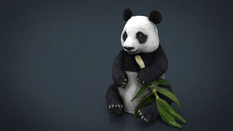 3d Panda Models Turbosquid