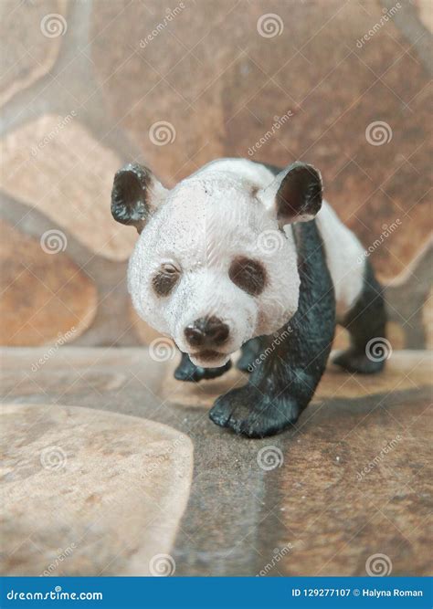 Close Up Of Plastic Panda Toy Stock Image Image Of Animal Close