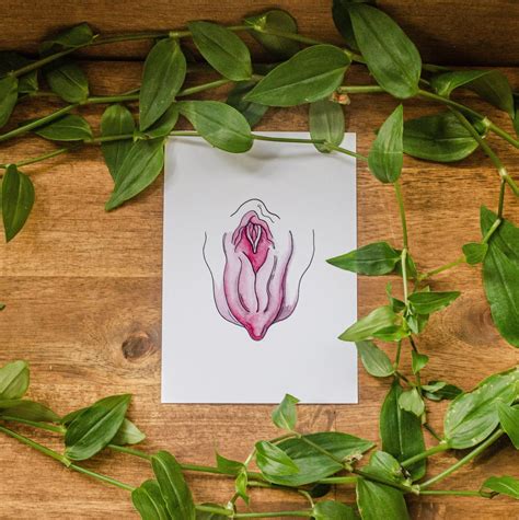 Vulva Card Vulva Art Pomegranate Drawing Vulva Anatomy Etsy