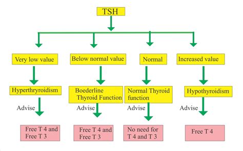 Thyroid Part Thyroid Function Test Thyroid Hormones T T Tsh