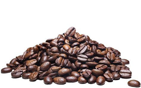 coffee beans png pnghq