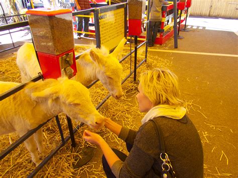 Petting Zoos — Variety Attractions