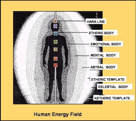 Humanenergyfield Big Picture Questions