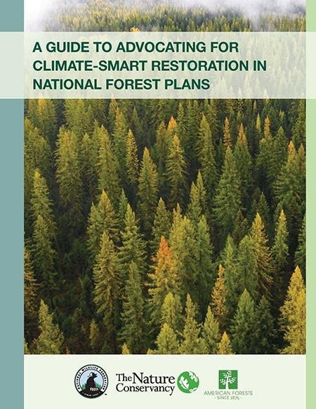 A Guide To Advocating For Climate Smart Restoration In National Forest