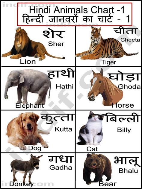 Hindi Animals Chart हिन्दी जानवरों का चार्ट Basic Animals From India