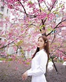 邱子芯（Mia）さんのインスタグラム写真 - (邱子芯（Mia）Instagram)「春節賞櫻之必須🌸 #cherryblossom #さくら ...