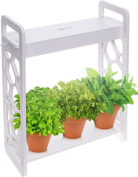 Top 10 Best Indoor Herb Garden Kits In 2020 Spacemazing