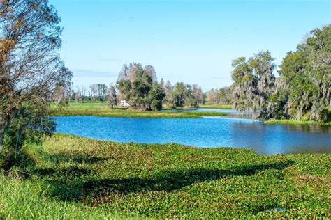 61 Acre Stunning Farmland Homesite In Plant City Fl Fischbach Land Company