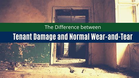 Difference Between Tenant Damage And Normal Wear And Tear