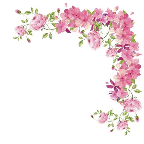 Pink Flowers Rose Flower Border Png Download 10241024 Free