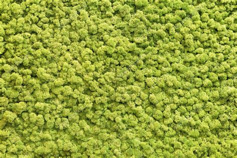 Artificial Green Moss Wall For Garden Decor Moss Background Texture